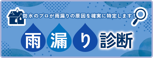 雨漏り診断