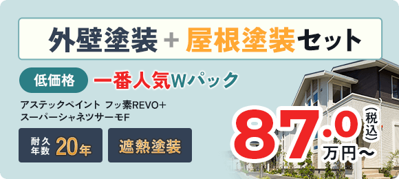 一番人気Wパック