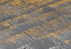 外壁・屋根のコケ・藻