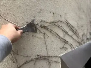 ツタ除去作業の写真